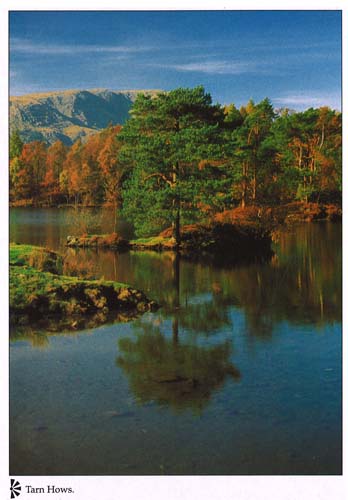 Tarn Hows postcards